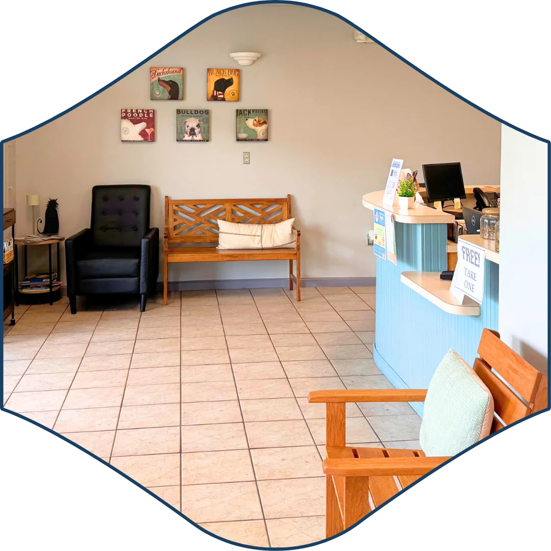 Cozy veterinary clinic lobby with wood and leather seating, wall art of dog breeds, and a blue front desk with a sign that says “FREE! Take One.”