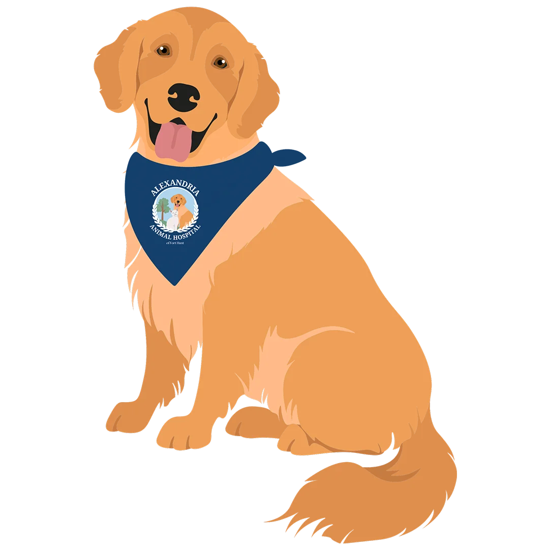 Illustration of Golden Retriever Wearing a Bandana