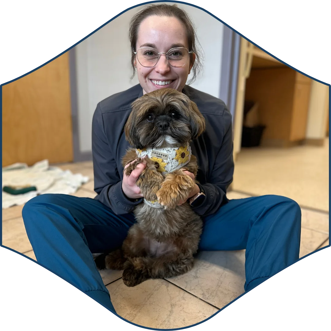 Veterinary technician sitting on the floor and smiling while holding a small brown dog wearing a sunflower harness.