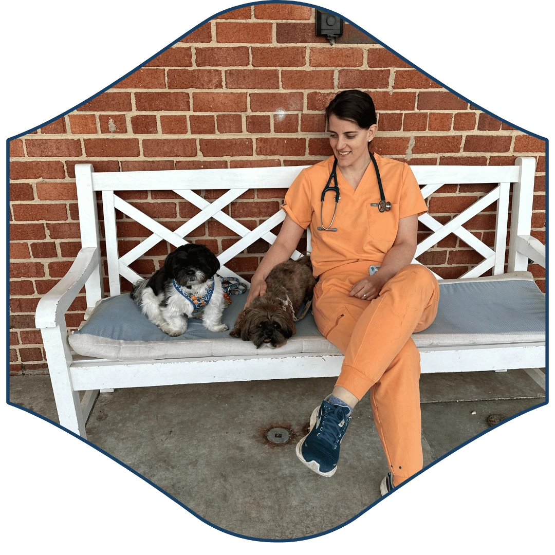 a person in an orange uniform sitting on a bench with two dogs