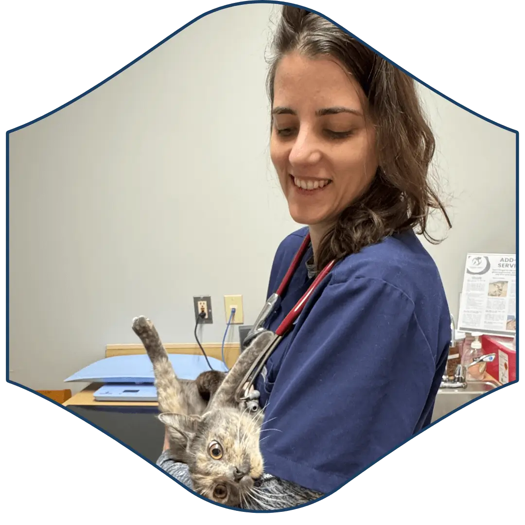 a person is holding a cat in their arms
