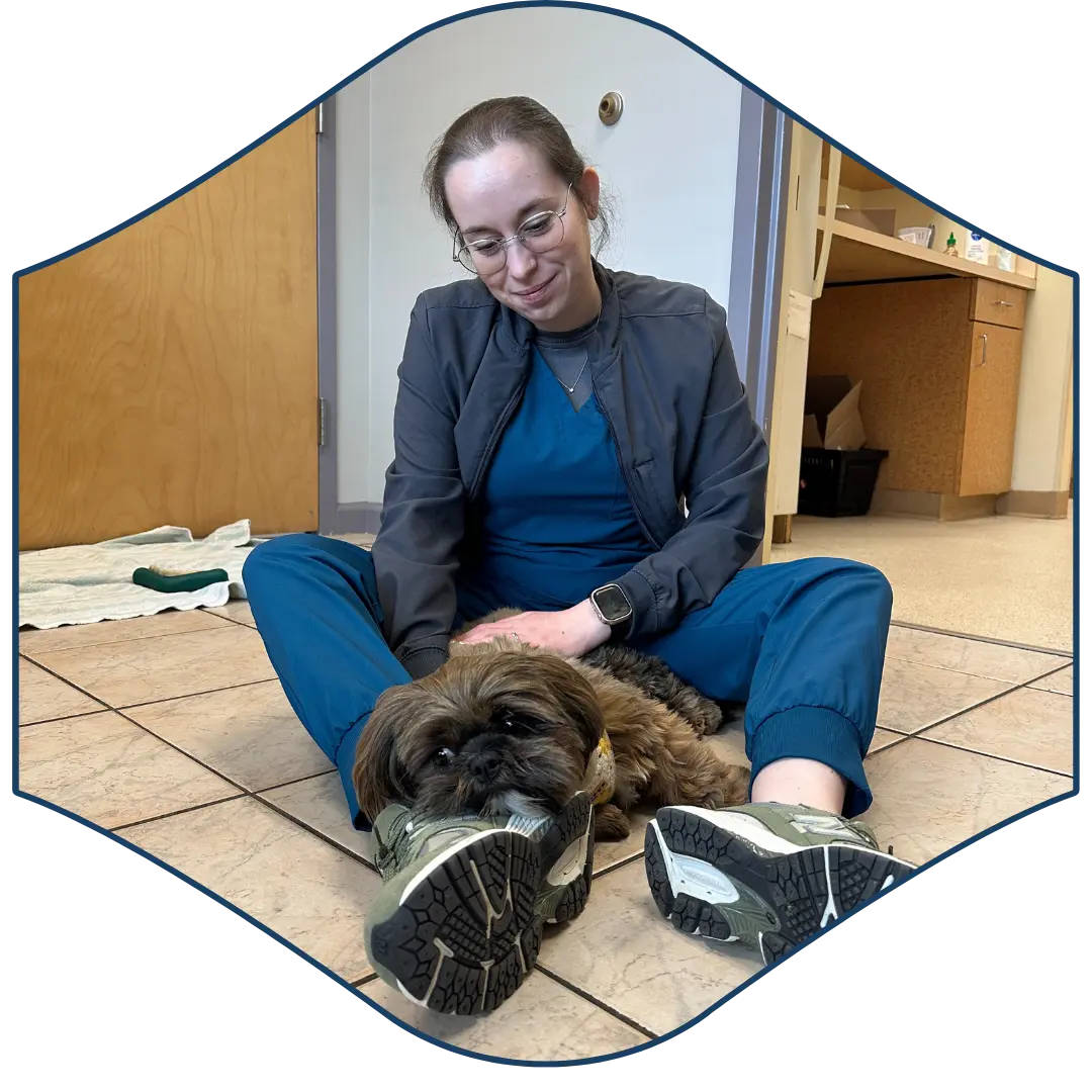 a person sitting on the floor with a dog