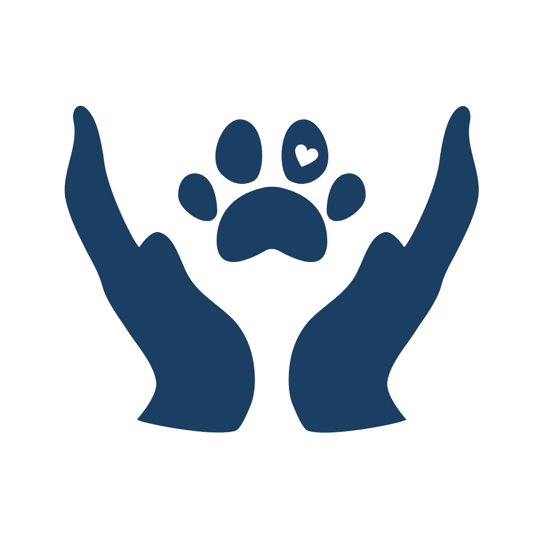 medical care icon