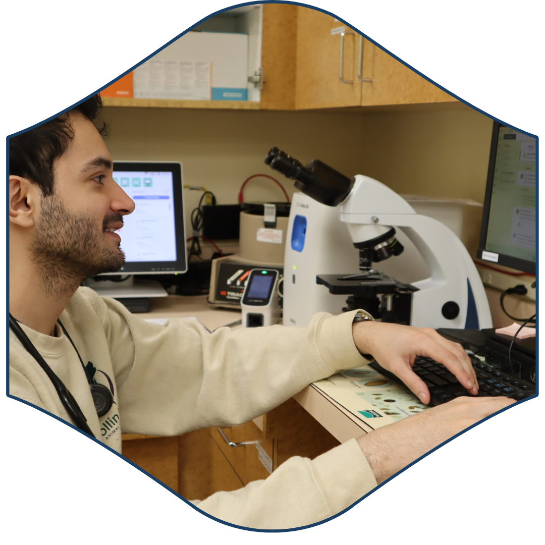 A person sitting in front of a computer with a microscope in the background